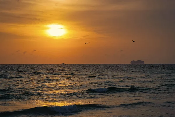 Изумительный Морской Горизонт Восходе Солнца Фото Морского Горизонта Восходе Солнца — стоковое фото