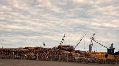 Yükleyici kereste yüklüyor. İnşaat malzemeleri, kereste. Odun kesme, kereste kesme, dışarıda kurutma. Kereste fabrikasında ya da kereste fabrikasında istiflenmiş kereste. Ahşap ya da yumuşak odun. Ahşap endüstrisi.