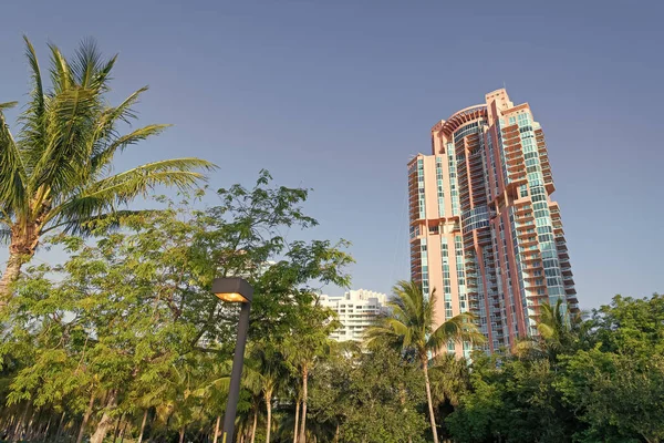 Wolkenkrabber Architectuur Buiten Met Palmen Wolkenkrabber Architectuur Miami Foto Van — Stockfoto