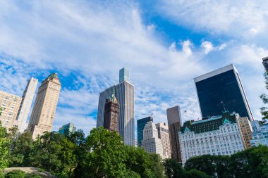 Central Park 'ta yaz ve New York' ta bina. ABD, New York, Central Park 'ın etrafındaki gökdelen. Gökdelen manzaralı şehir doğası. New York Central Park.
