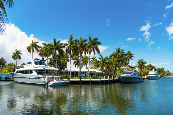 seaside harbor destination. harbor with yachts and palm trees at seaside summer destination. picturesque seaside summer destination with boats in harbor. Seaside harbor perfect destination for summer.
