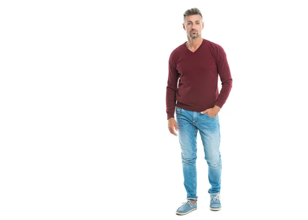 stock image handsome mature man with trendy hairstyle wears casual sweater, banner. trendy caucasian man. An attractive man with trendy hair and clothes isolated on white. A handsome man posing in trendy studio.