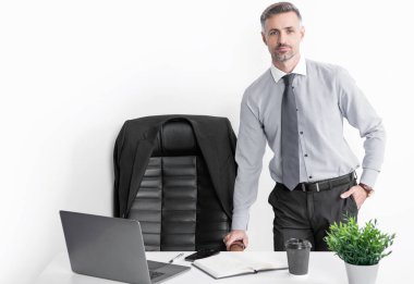 mature boss working in office with laptop.