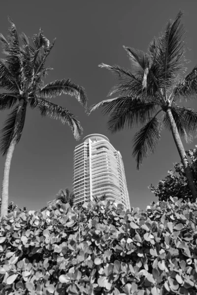 Moderne Torenblok Hoogbouw Architectuur Onderste Zicht Blauwe Hemel Met Palmen — Stockfoto