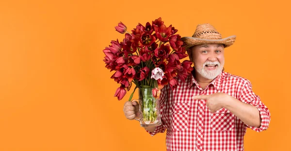 stock image happy old retired man in hat point finger on spring tulip flowers on yellow background.