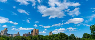 Central Park ny ve gökdelen mimarisinin manzaralı manzarası. Manhattan Manzarası 'ndaki şehir merkezi parkı. New York 'un Central Park' ı. Gökdelenli doğa manzarası. New York ve Manhattan.