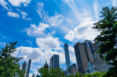 New York 'un Central Park' ı. Gökdelenli doğa manzarası. New York ve Manhattan. Central Park 'ın manzarası ve gökdelen mimarisi. Manhattan manzaralı şehir merkezi parkı..