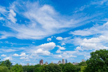 Gökdelenli doğa manzarası. New York 'un Central Park' ı. Central Park 'ta yaz ve New York' ta bina. ABD, New York Central Park çevresinde gökdelen.