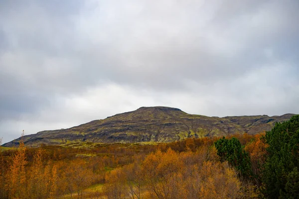 Islandin Luonne Syksyllä Luontokausi Syksyllä Maisema Vuoren Luonnossa Vuoren Harjanteelle — kuvapankkivalokuva