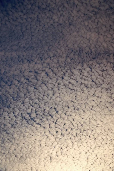 Gökyüzü Bulutu Bulutlu Gökyüzü Arkaplanı Gündüz Vakti Gökyüzü Bulutu Gökyüzü — Stok fotoğraf