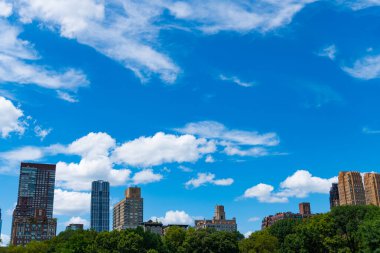 Gökdelenli doğa manzarası. New York ve Manhattan. Central Park ny ve gökdelenin manzaralı manzarası. Manhattan Manzarası 'ndaki şehir merkezi parkı. New York 'un Central Park' ı. Çeşitli manzaralar.