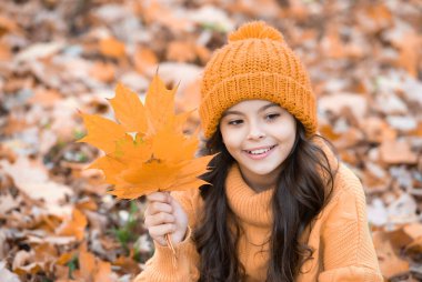 Sonbahar modası. Sonbahar yaprağını tutan şapkalı genç kızın portresi. Mutlu çocuk, sarı akçaağaç yaprağıyla eğleniyor. Sonbahar doğası. Eylül. Doğal güzellik.