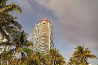 Florida 'da palmiyeli gökdelen mimarisi. Miami 'deki gökdelen mimarisi. Gökdelen mimarisinin fotoğrafı. Miami 'de gökdelen mimarisi.