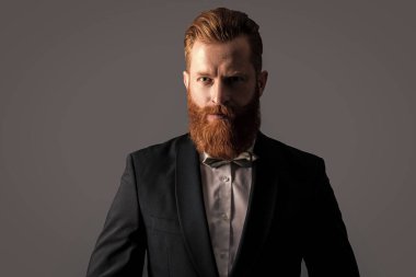 Smokin giysisiyle çekilen bir adamın portresi. Smokin giyen adam. Smokin resmi kıyafet. Smokinli sakallı adam gri arka planda izole edilmiş..