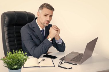 mature director sitting in business office with laptop.