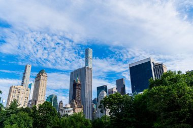 Gökdelenli doğa manzarası. New York 'un Central Park' ı. Manhattan 'ın merkezindeki Central Park şehri. ABD, New York Central Park çevresinde gökdelen.
