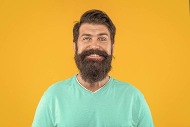 Heyecanlı sakallı adamın portresi. Sarıda izole edilmiş sakallı adamın portresi. Stüdyoda sakallı adamın portresi. Arka planda sakallı adamın portresi.