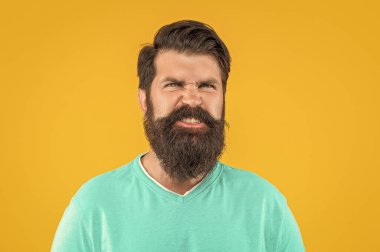 Kızgın sakallı adam sarıda izole edilmiş. Stüdyodaki sakallı adam. Arka plandaki sakallı adam. Bıyıklı sakallı adamın fotoğrafı..