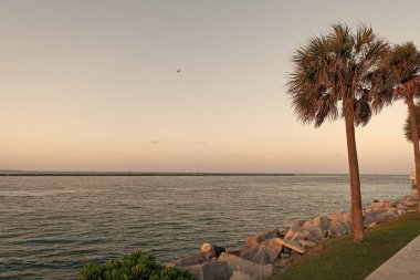 Deniz kenarındaki deniz manzarası. Deniz kenarındaki inanılmaz deniz manzarası. Güzel sahil yaz deniz manzarası. Deniz kıyısı deniz manzarasının fotoğrafı.