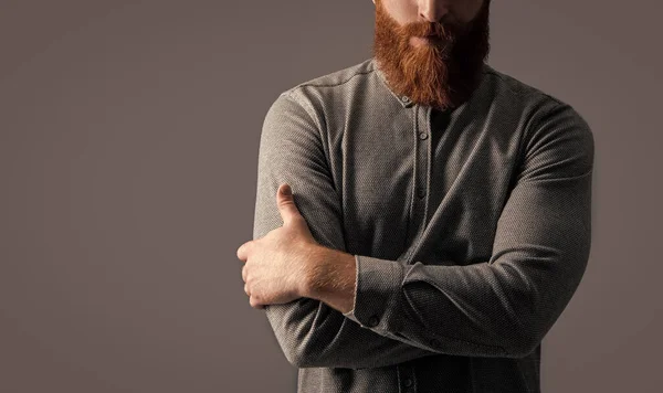 Guy Crop View Long Beard Unshaven Face Stylish Beard Mustache — Stock Photo, Image