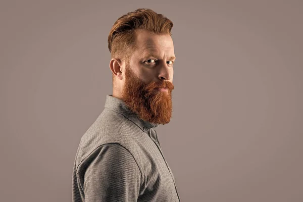 Portrait Bearded Man Half Turn Irish Man Long Beard Mustache — Stock Photo, Image