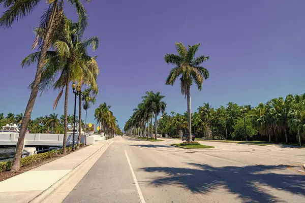 Tropische Palme Zielort Einem Sonnigen Tag Landschaftlich Reizvolle Fahrt Mit — Stockfoto