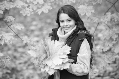 Neşeli çocuk sonbahar akçaağaç yaprağı düzenini dışarıda tut, akçaağaç.