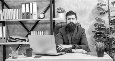 Ciddi sakallı patron internette internette, internette çalışıyor..