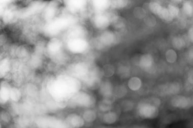 Sonbahar yapraklarının bulanık arkaplanı. sarı mevsime odaklanamıyorum. bulutlu sonbahar yaprakları. Bulanık bokeh arkaplan. Sonbahar odaksız doğası.