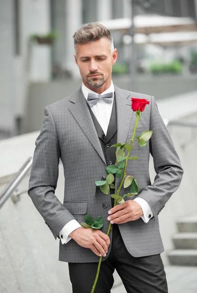 elegant man in tuxedo. man wearing tuxedo bowtie outdoor. adult tuxedo man with red rose.
