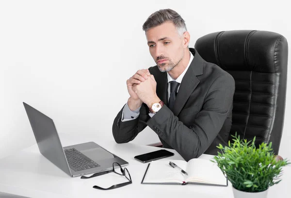 Mature Director Sitting Business Office Laptop — Foto Stock