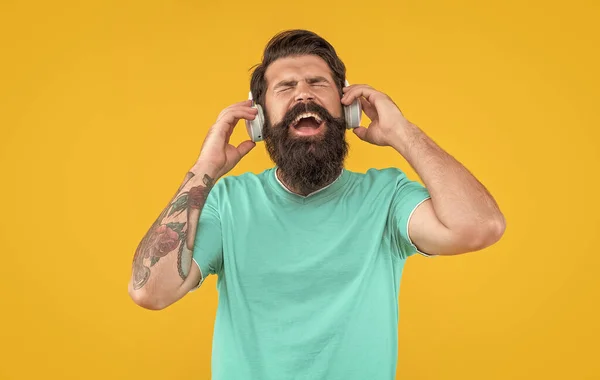 listen to music concept. studio shot of glad guy with headphones. cool guy listen music. bearded guy listen music in headphones isolated on yellow background. guy listen music in headphones.