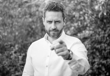 Yakışıklı, profesyonel, seçici, işaret eden, doğal arka plan..