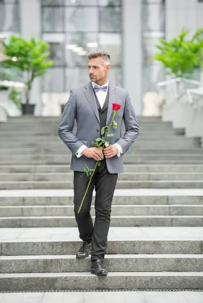 elegant man in tuxedo at romantic occasion. man with romantic present. grizzled romantic man with rose.
