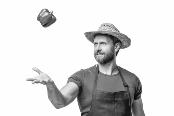 Człowiek Fartuchu Kapeluszu Warzywami Słodkiej Papryki Izolowane Białym Żywność Naturalna — Zdjęcie stockowe