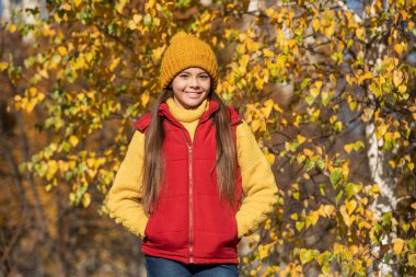 Sonbahar sezonunda okul zamanından memnun bir genç..