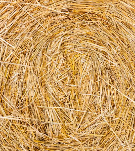 Rural Autumn Hay Straw Summer Background Haystack Straw Prepared Farm — Stock Photo, Image