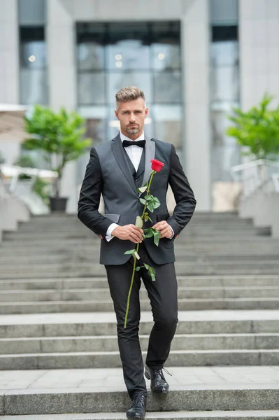 special occasion formalwear. elegant man with rose for special occasion. tuxedo man walking outdoor at special occasion.