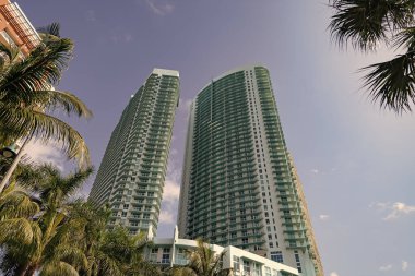 Miami 'de palmiye ağaçları olan bir gökdelen mimari binası. Gökdelen mimari binasının fotoğrafı. Mavi gökyüzünde yüksek gökdelen mimari binası. Gökdelen mimari binası..
