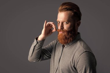 İrlandalı bıyıklı adam yarım dönüş yapıyor. Bıyıklı sakallı adam. Sakallı ve bıyıklı traşsız bir adam. Gri, kopyalama alanında izole edilmiş..