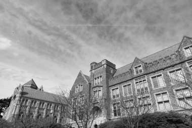 Seattle 'daki Washington Üniversitesi binası. güneşli bir gün.