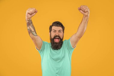 Sarıda sakallı başarılı vahşi adamın portresi. Stüdyoda sakallı vahşi bir adamın portresi. Arka planda sakallı vahşi bir adamın portresi. Sakallı vahşi bir adamın portresi..