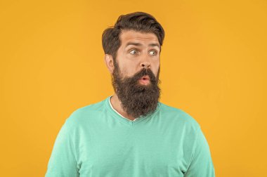 Stüdyodaki sakallı adamın portresi. Arka planda sakallı adamın portresi. Sakallı adamın portresi. Sarıda izole edilmiş sakallı adamın portresi..