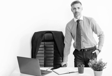 mature boss working in office with laptop.