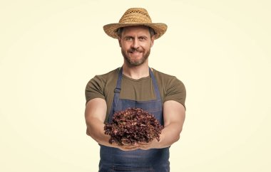 Önlüklü ve şapkalı manav. Beyaz üzerinde marul sebzeli..