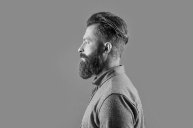 profile of bearded man with long beard isolated on grey background. studio shot of bearded man. beard care. handsome bearded man has beard.