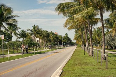 Key West, Florida USA - 09 Ocak 2016: Palmiye ağaçlı yol yolu.