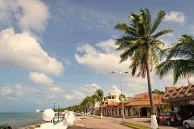 Cozumel, Meksika - 24 Aralık 2015 Palm Seafront 'ta yaz gezisi bulvarı.