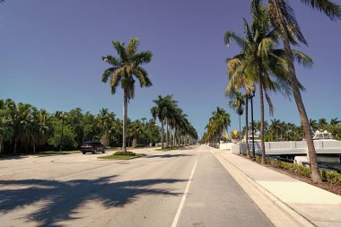 Beverly Hills 'te sadece avuçlarıyla gidilen yol manzarası. Güneşli bir günde tropikal palmiye. California 'da palmiye ağaçları olan manzaralı bir araba. seyahat yolu hedefi.