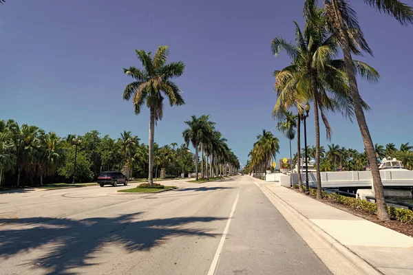 Beverly Hills 'te sadece avuçlarıyla gidilen yol manzarası. Güneşli bir günde tropikal palmiye. California 'da palmiye ağaçları olan manzaralı bir araba. seyahat yolu hedefi.